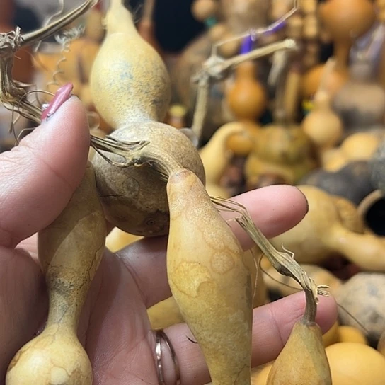 踌**志葫芦葫芦葫芦葫芦