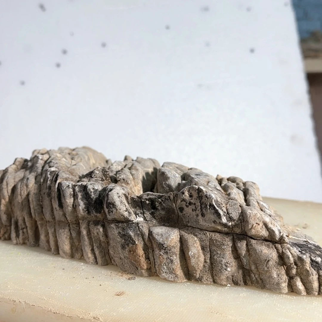 【闪购商品】香榧木严****?出来吃了饭再回去吃饭吃个宵夜