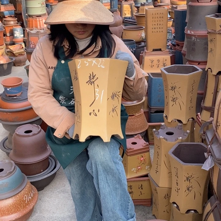 紫砂花盆盆栽花卉苗木种植