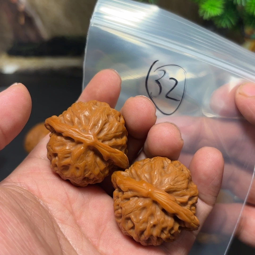 核桃其他宫灯狮子头