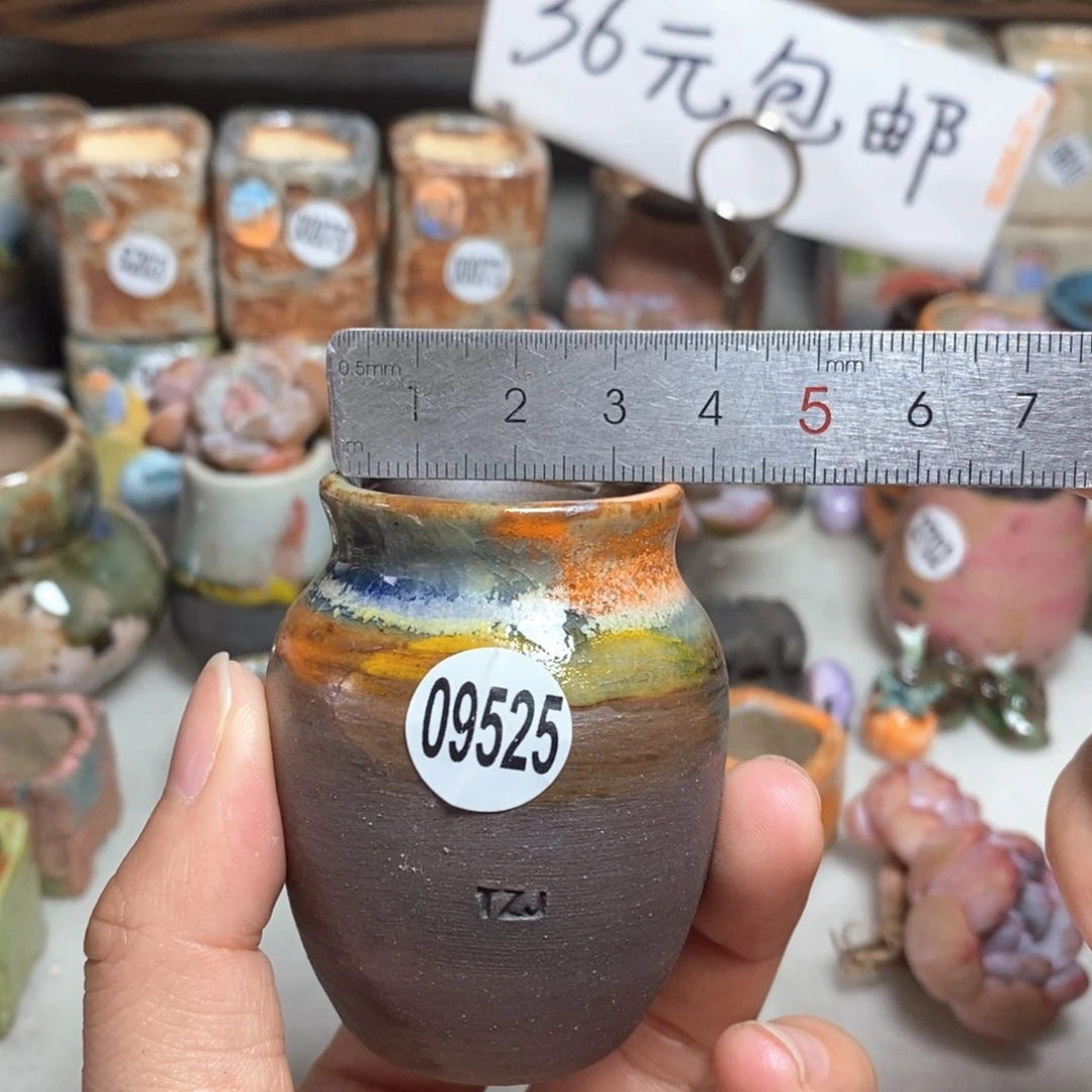 拍5送一个小礼物