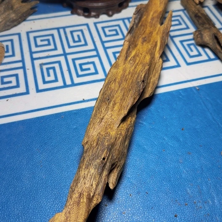 木质海南白奇树心油210克