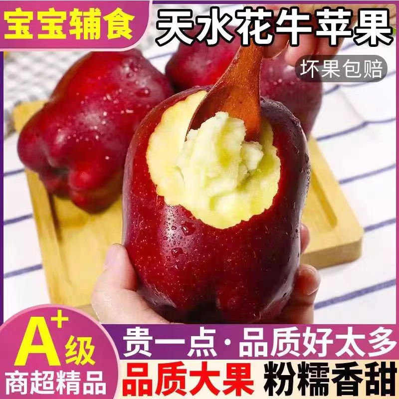 2025甘肃天水花牛苹果脆粉两吃当季新鲜水果蛇果整箱包邮产地直发