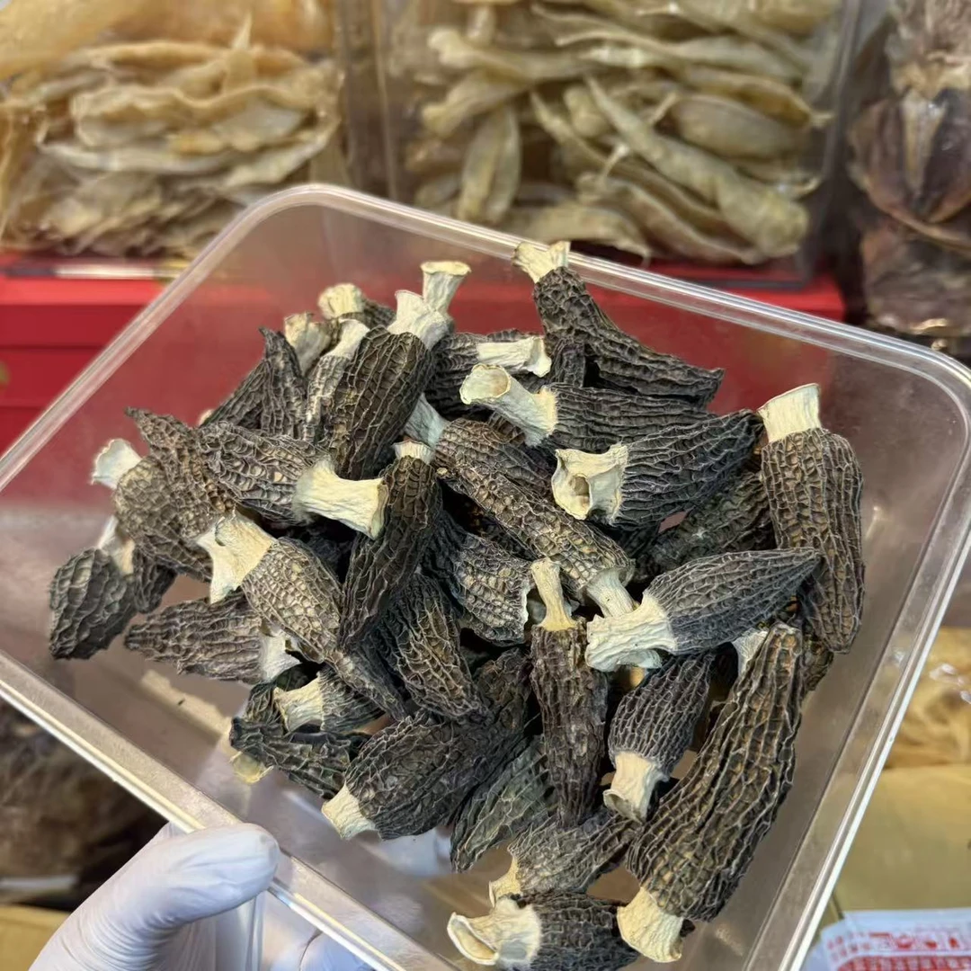 六妹头茬羊肚菌 珠海发货 煲汤蒸蛋蒸鸡酿肉酿虾滑营养丰富