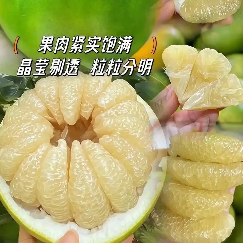 湖南怀化安江冰糖柚小苦柚文旦柚蜜柚柚子当季新鲜应季