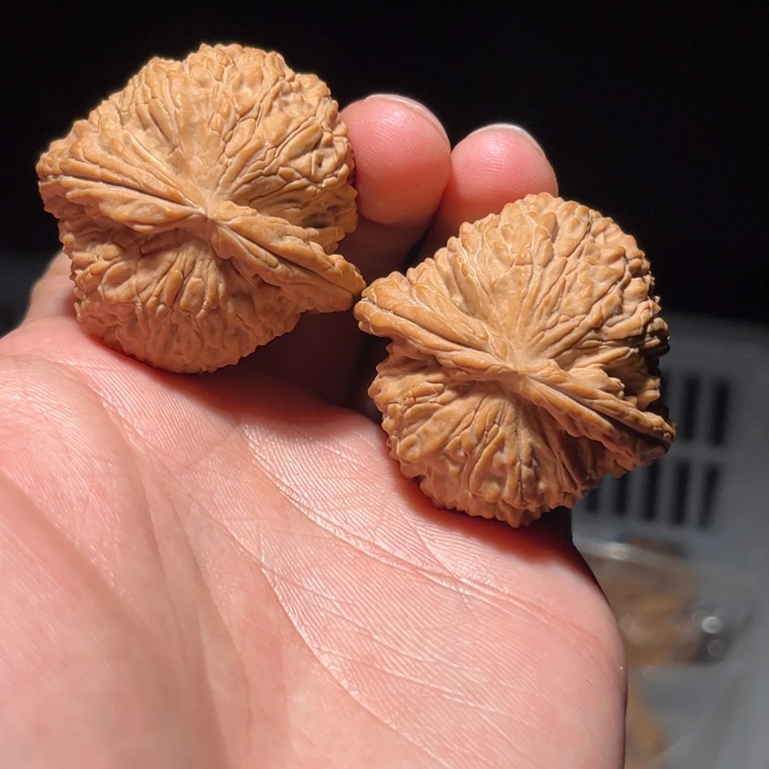 文玩核桃吊坠040白狮子40