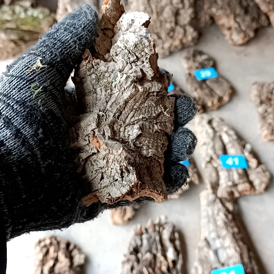 木5斤小块料有情拍