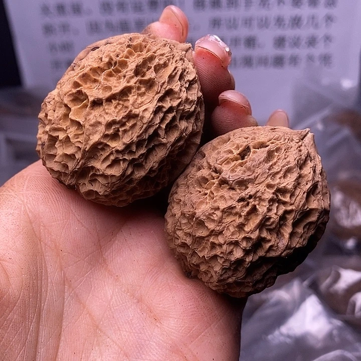 核桃云南野生铁核桃181号42mm