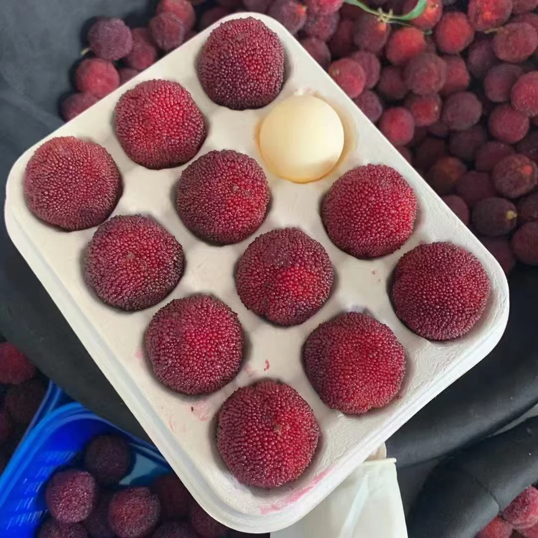 【贡品】浙江仙居东魁杨梅乒乓大果新鲜水果特大果杨梅鲜果礼盒