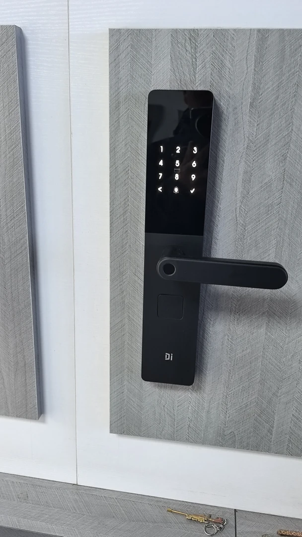 德施曼E50智能锁