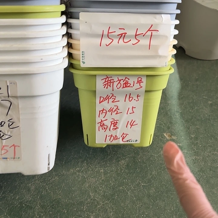 新款方盆口16无托纯白10个