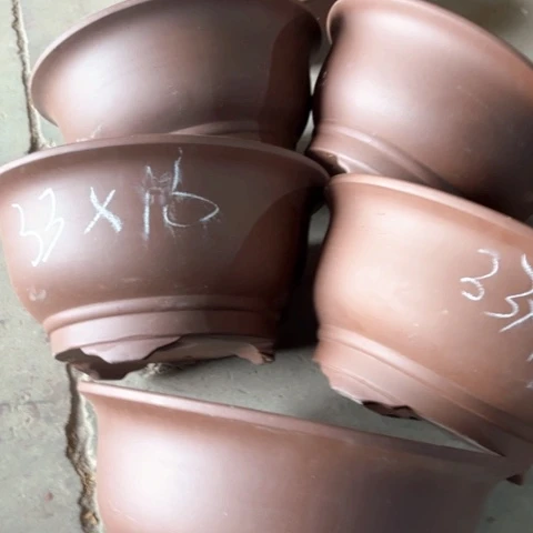 100-5。         33-16