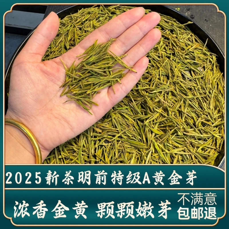 2025新茶明前特级A黄金芽浓香高山绿茶浓香散装礼盒茶叶