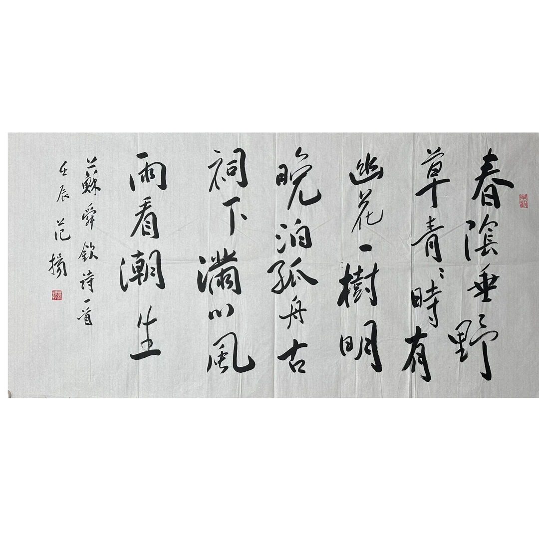 F-R-848 范杨 书法 69cm×137cm 软片-A