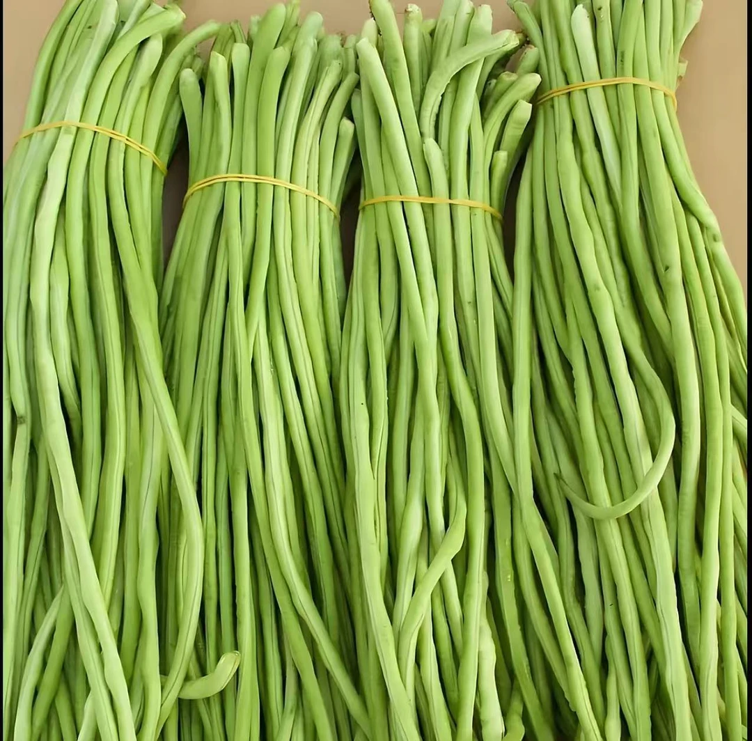 湖南攸县本地长豆角带箱3斤（顺丰包邮）