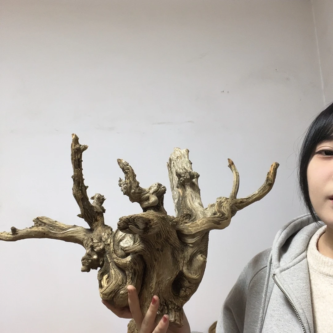 我***卡柏木却又是一个人的生活