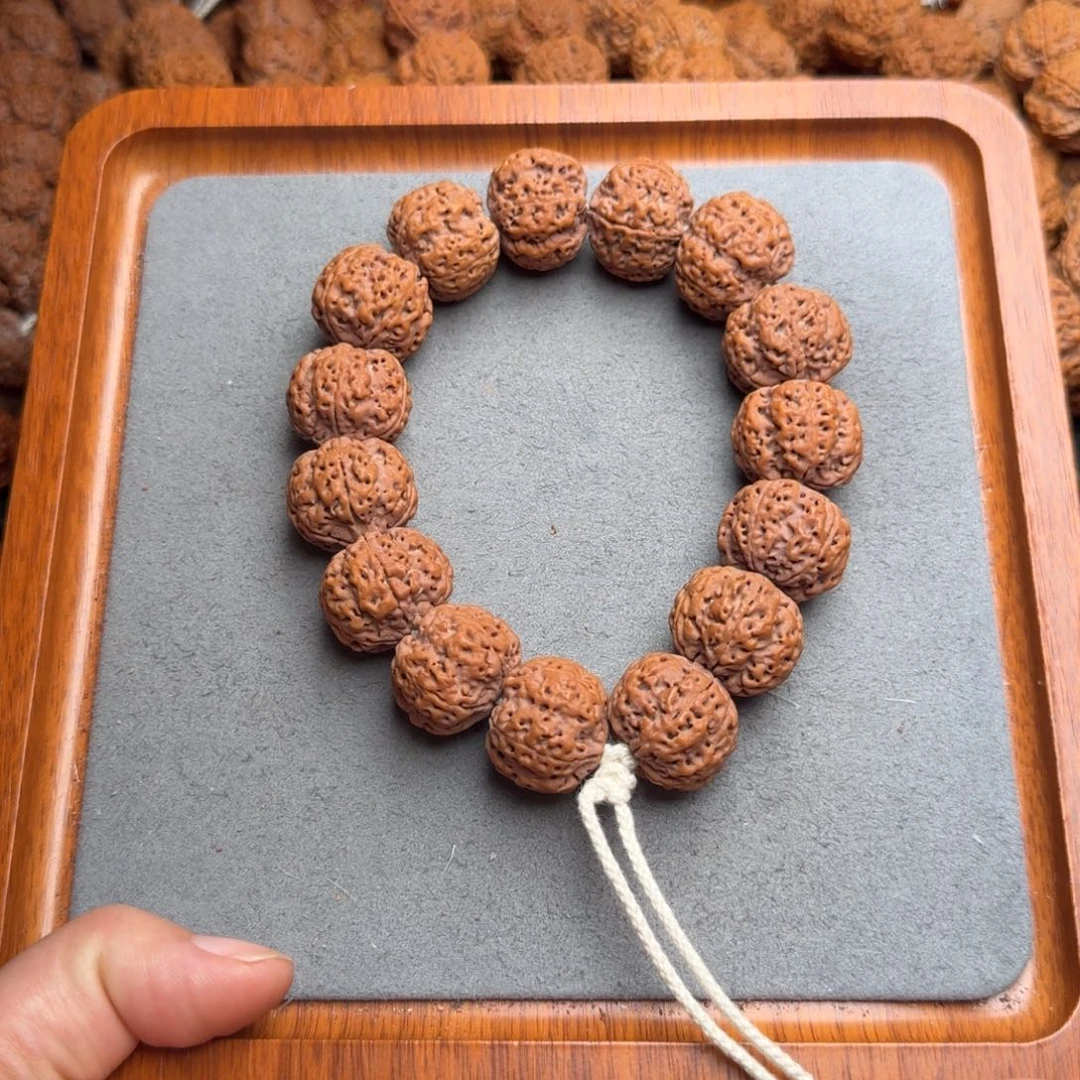 菩提菩提21号尼泊尔大金刚22满肉梅花