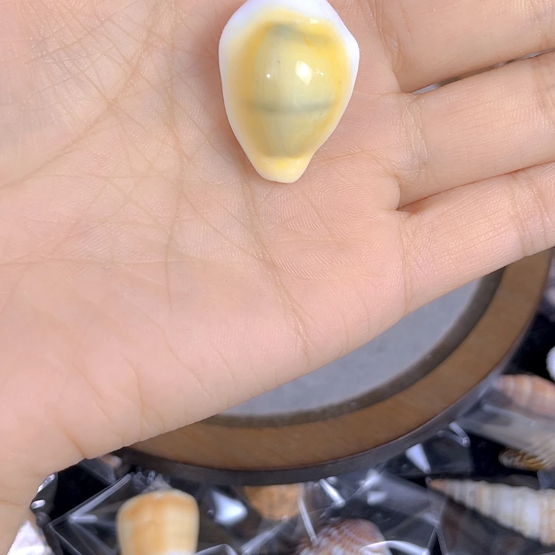大理石磁石小**记天然贝壳特价款不退不换