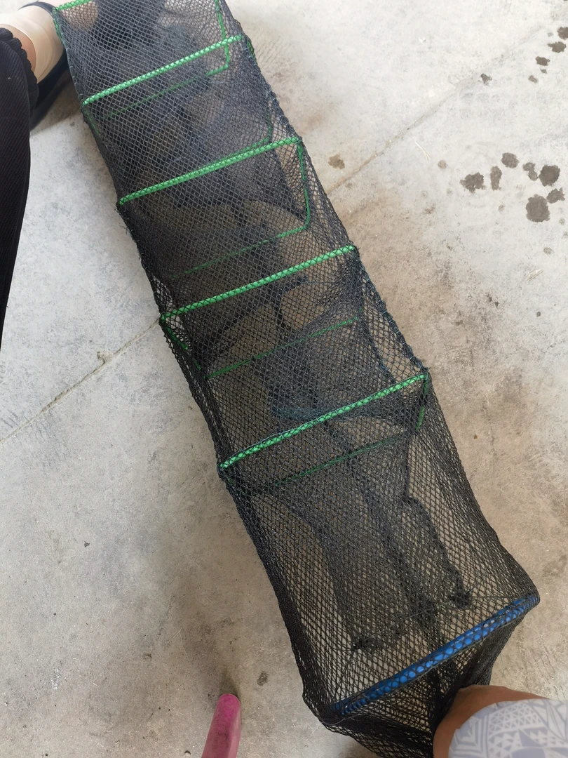 精品一子口四门黄鳝泥鳅龙虾网捕鱼