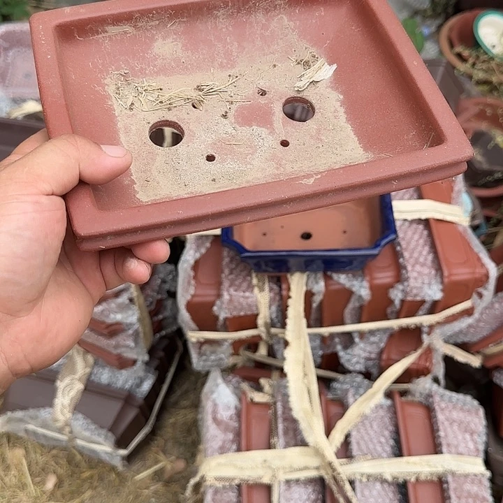 在家里也可以的哈你说