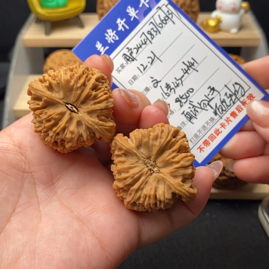 用***7把件文玩核桃16号南将石43全品 文