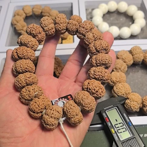 手串金刚菩提菠萝蜜大金刚板王手持，全品无黄，规整度高