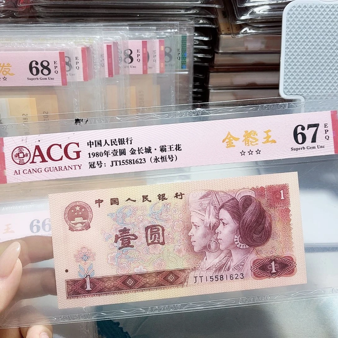 15581613。。。。。金龙王 生日号