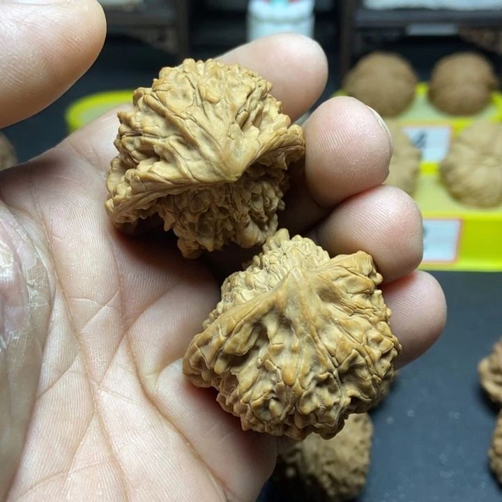 核桃麒麟纹蛇头003