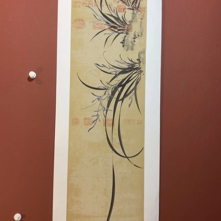 国画听兰老师花鸟