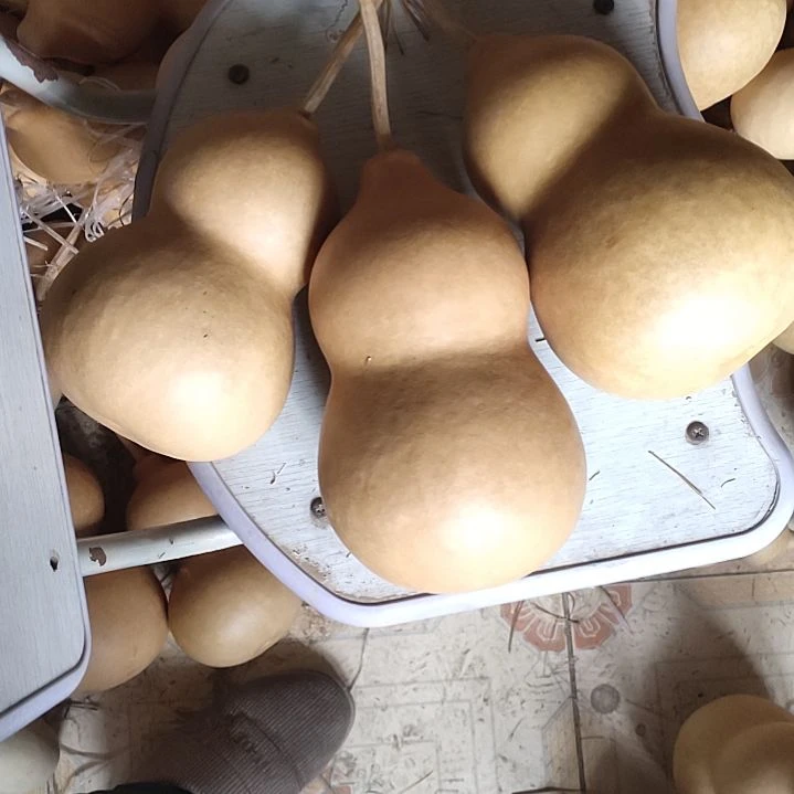 时***品天然葫芦3个中号葫芦