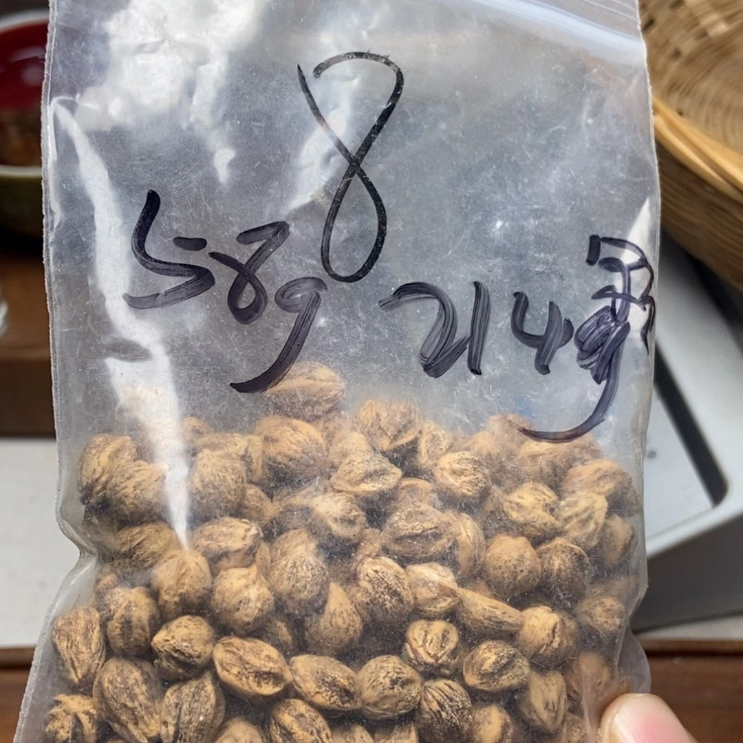 吊坠柏香籽/百香籽