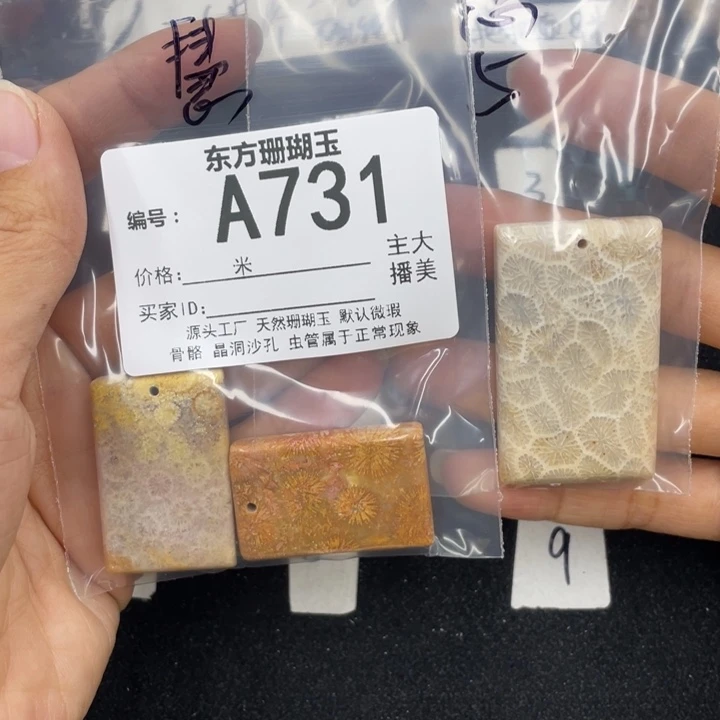 硅化珊瑚（珊瑚玉）颈饰合金慧