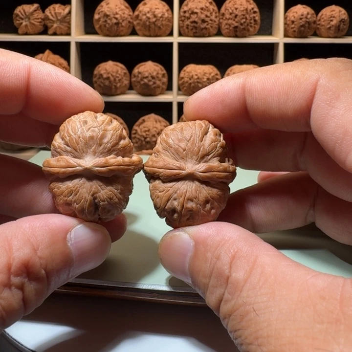 手指捻小元宝全品毕业级品质尺寸34