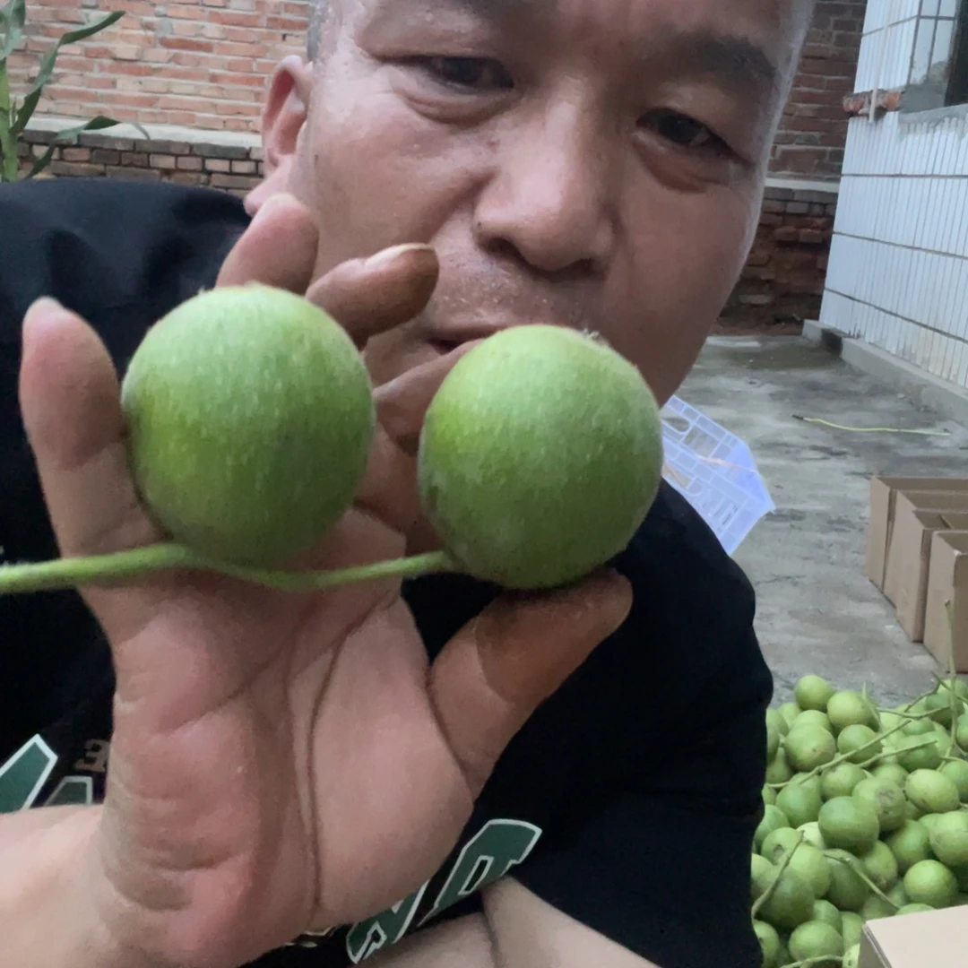 文玩核桃吊坠盘山青皮46包熟不退