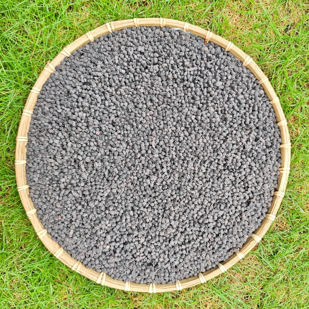 【阿丹臻品】当归黑豆 农家土特产 可搭配枸杞