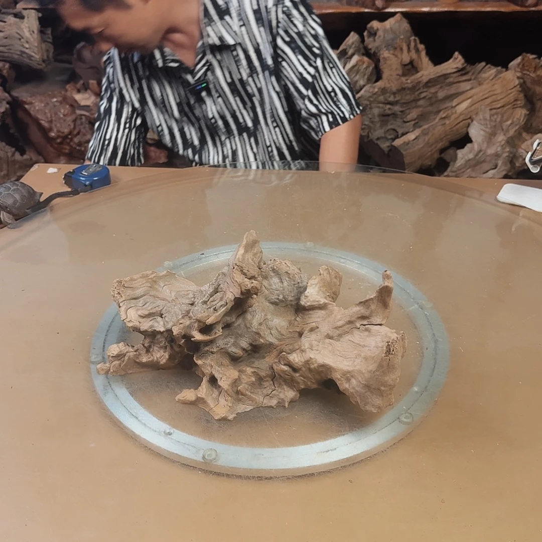 小***篓香榧木在我的心里你永远