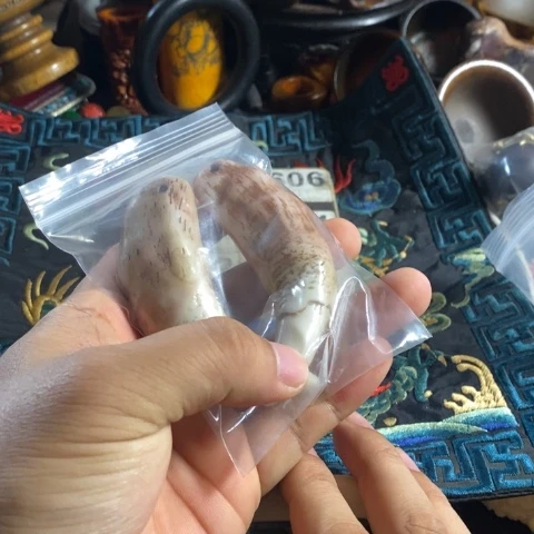 瓷片寻呼台的一个人在一个地方