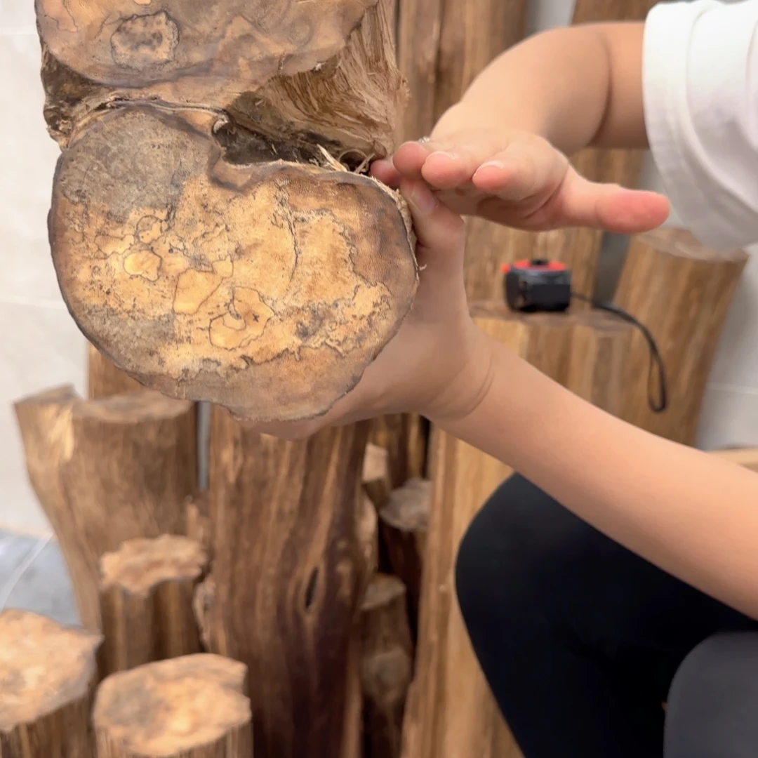 沉香沉香枕沉香多样性发一件23