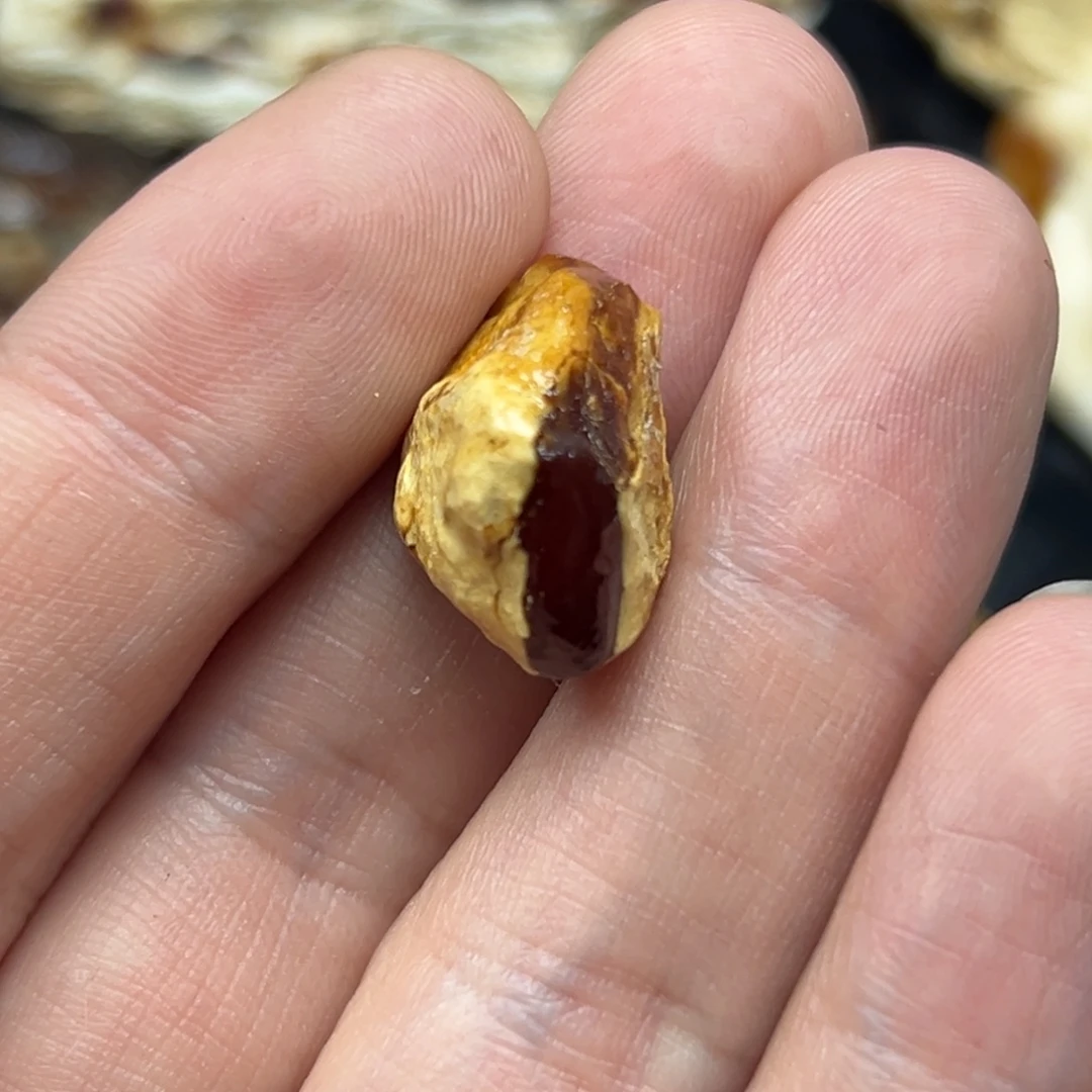 定制琥珀未镶嵌琥珀蜜蜡原石定制