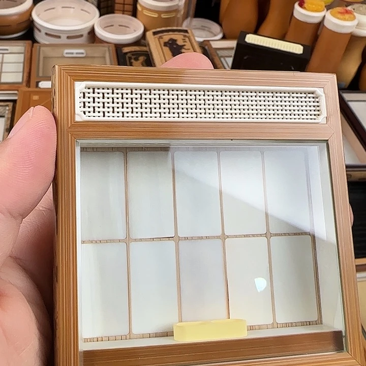 最后两天上海之行虫具