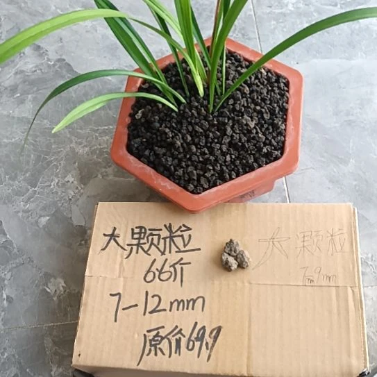 @***风兰菌黑山土大颗粒6.6斤