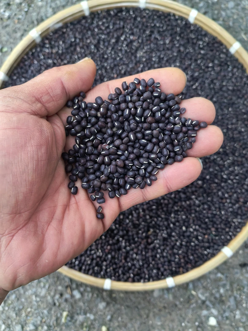 云南山货 黑豆 卤蛋甄选