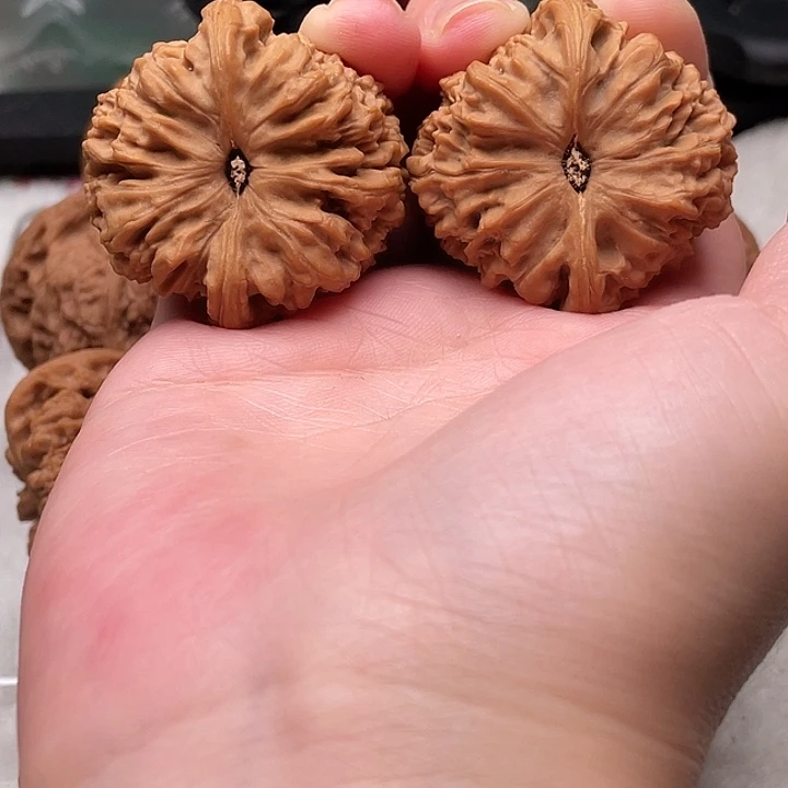 h***e物美价廉物美价廉