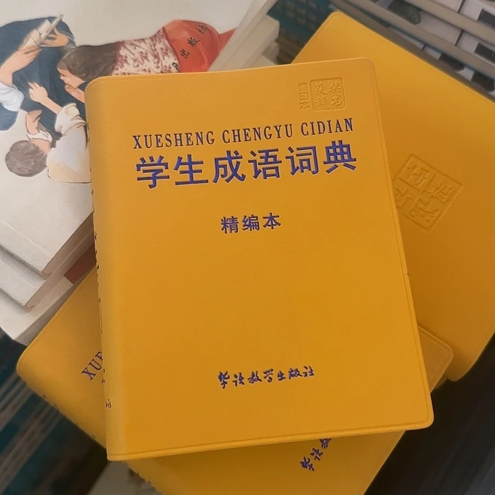皮面学生成语词典