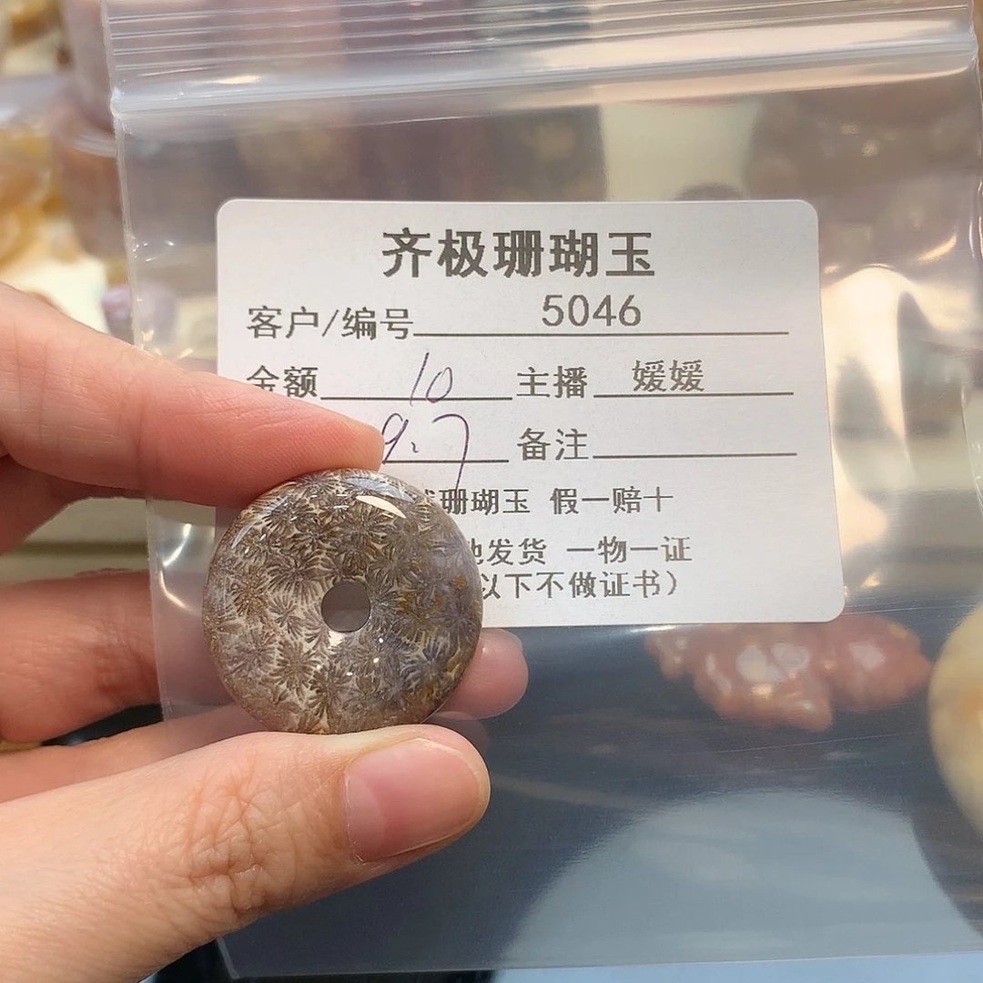 颈饰未镶嵌硅化珊瑚（珊瑚玉）幼****?