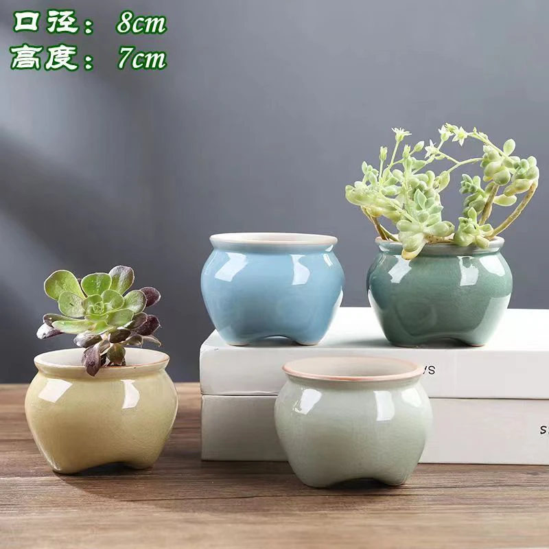 花公子花盆多肉花盆多肉小花盆