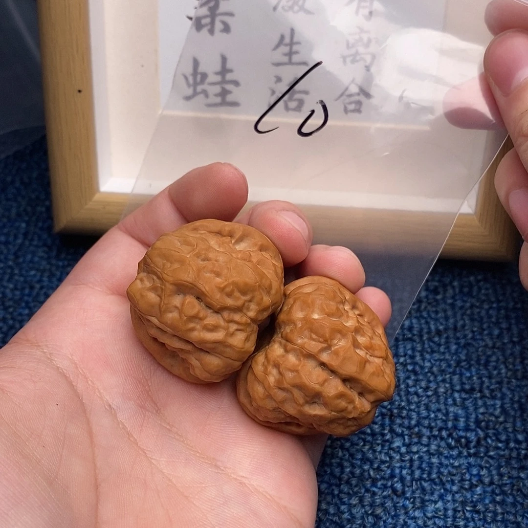 文玩核桃把件蛤蟆头39尺轻微扫尖