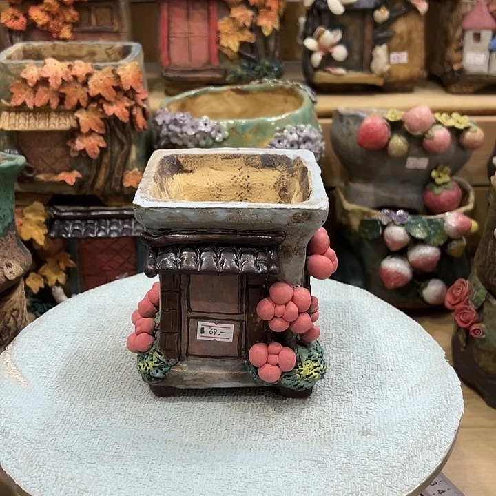 陶然多肉花盆百搭