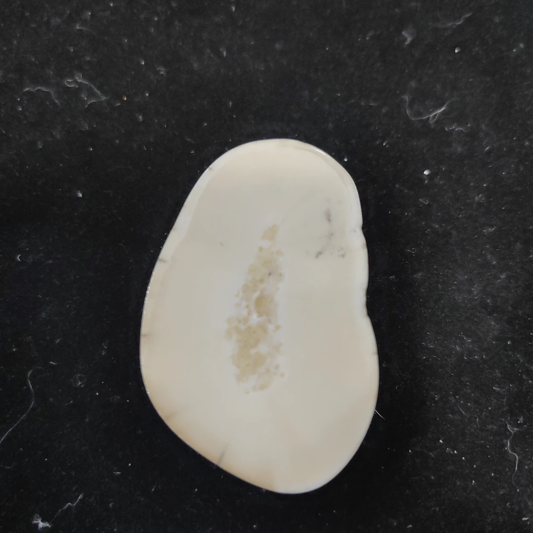 猛犸猛犸虬饼子WT547