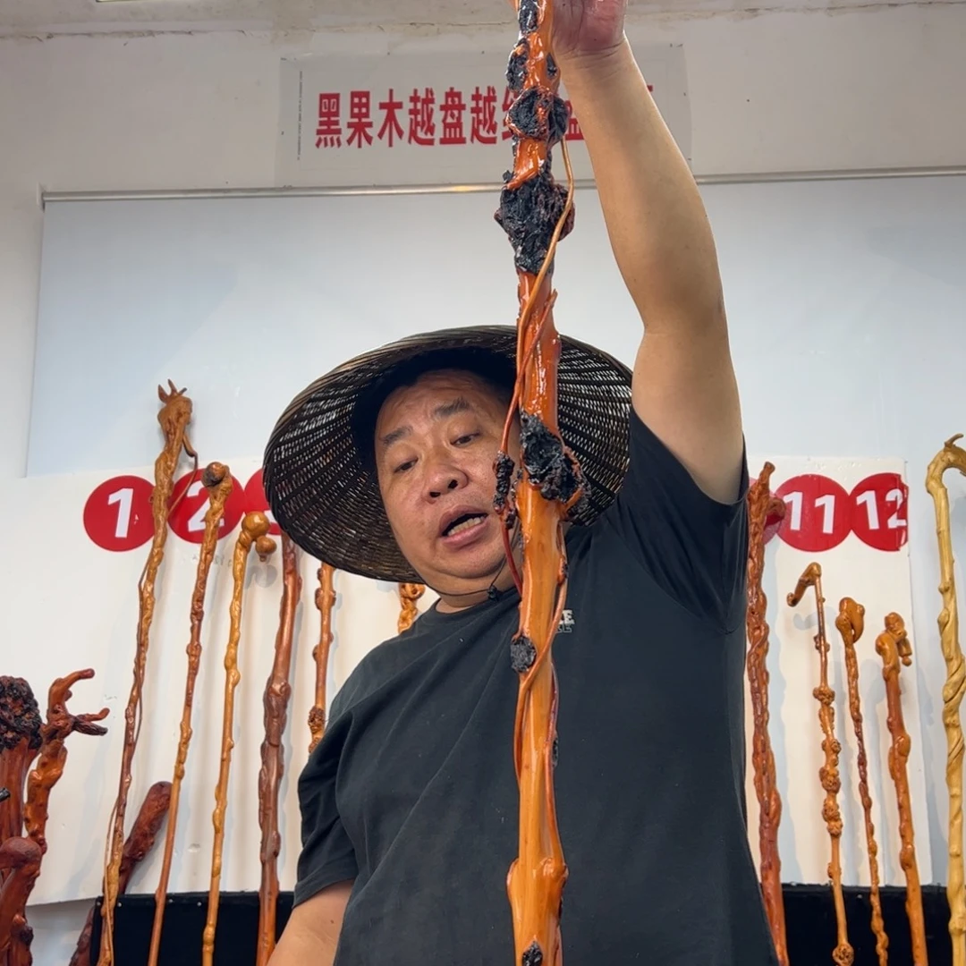 德***民黑果木其他黑果木613
